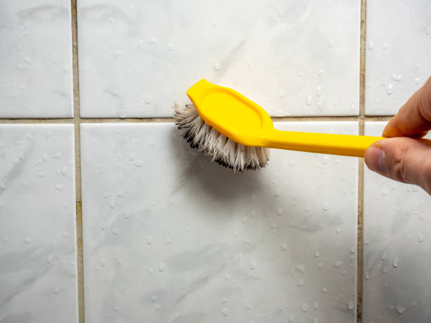 Best Best Mold Removal Companies  in Arnold, MO