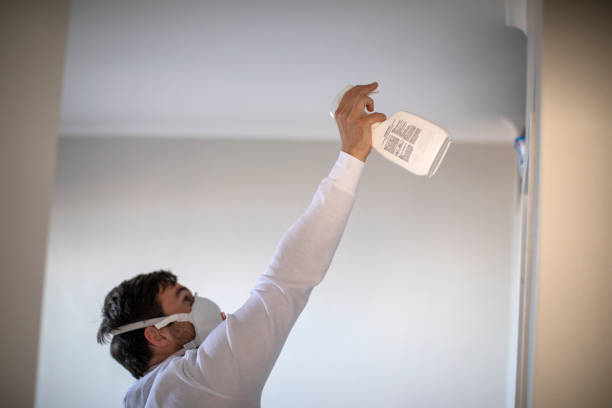 Best Mold Damage Repair  in Arnold, MO