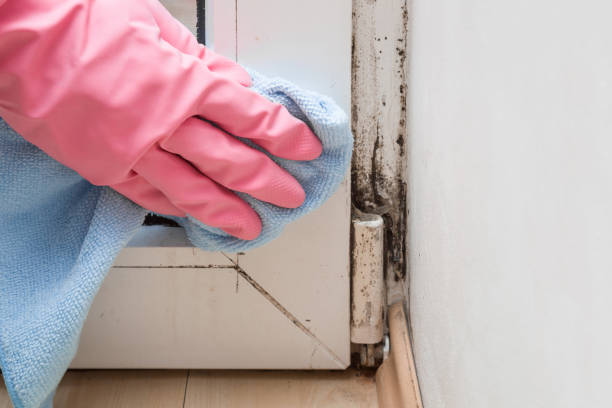 Best Crawl Space Mold Removal  in Arnold, MO